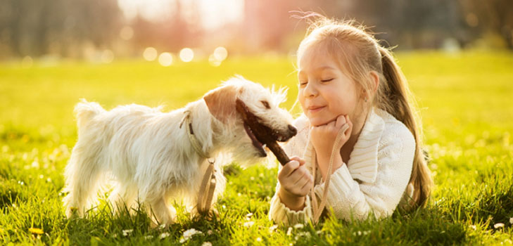 Bucuria copiilor: patru motive pentru a avea un animal de companie