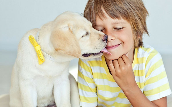 Bucuria copiilor: patru motive pentru a avea un animal de companie