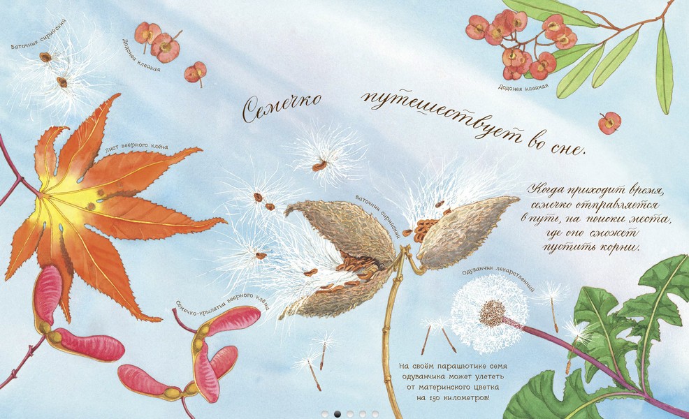 "Ce vis de sămânță": botanică pentru cei mai mici