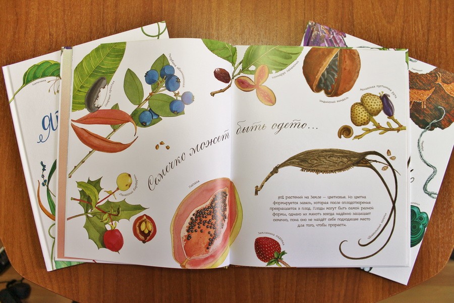 "Ce vis de sămânță": botanică pentru cei mai mici