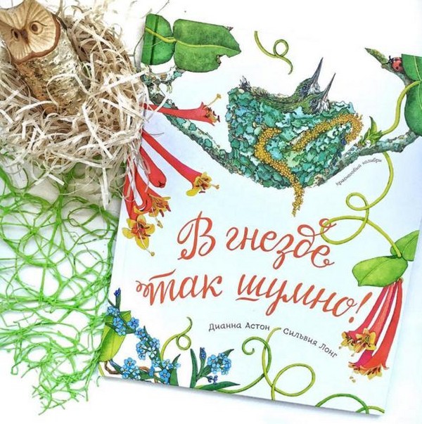 Beetle, pui, fluturi. Studiem natura împreună cu copiii