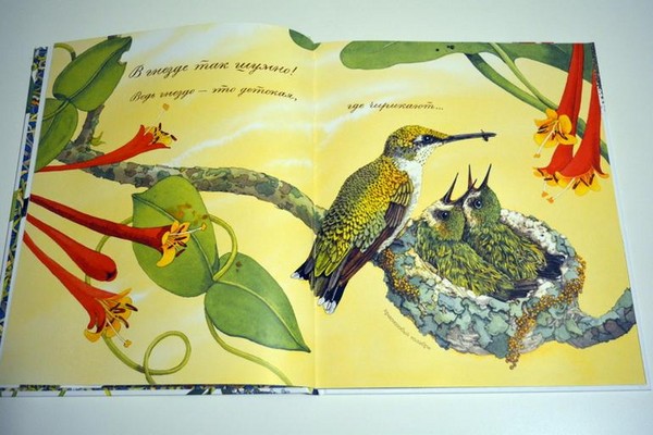 Beetle, pui, fluturi. Studiem natura împreună cu copiii