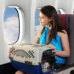 Transportul animalelor în avion Transportul animalelor în avion
