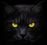 Semnele și superstițiile asociate cu pisicile