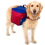 Rucsac pentru un câine Rucsac pentru un câine