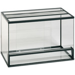 Terrarium cu mâinile proprii Terrarium cu mâinile proprii