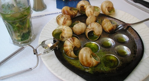 Melcul de struguri acasă: recomandări de îngrijire de bază
