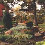 Rock Garden pe site-ul dvs. Rock Garden pe site-ul dvs.
