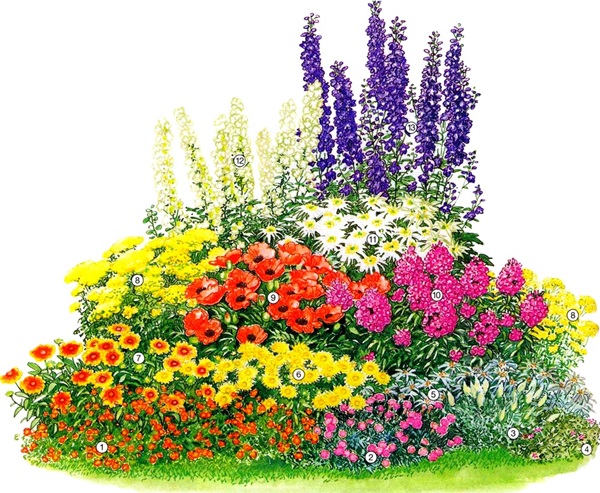 Flori frumoase pentru un pat de flori