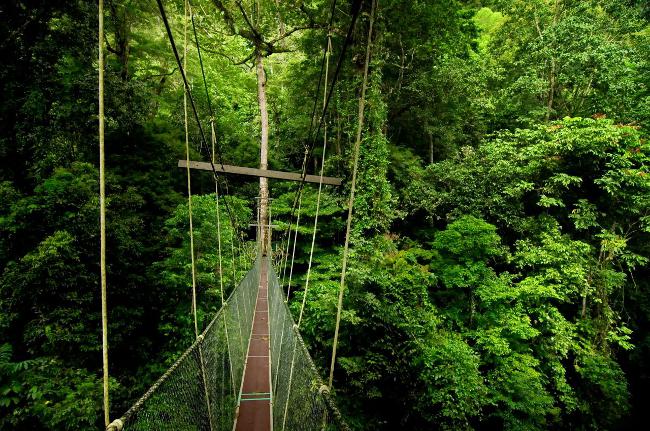 Ecoturism: turism ecologic