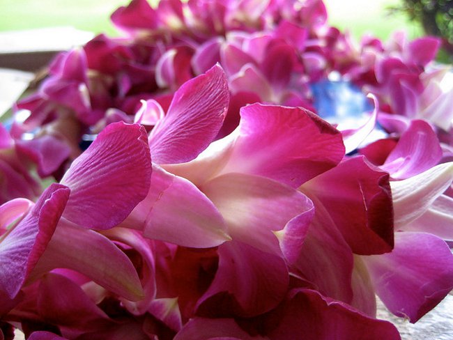Mărgeți din Hawaii cu mâinile lor