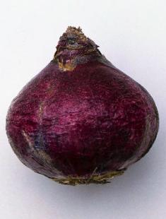 Iacît la domiciliu