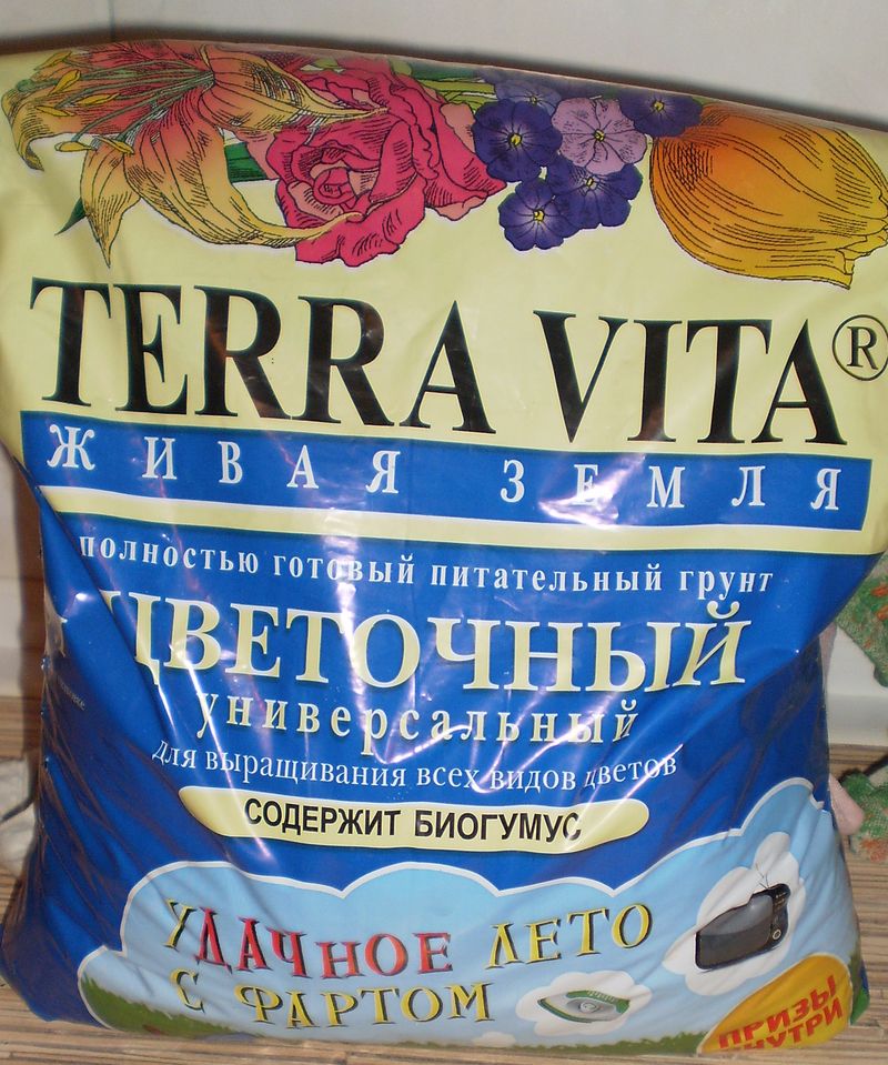 Iacît la domiciliu