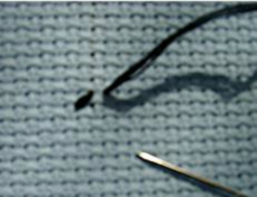 Cusatura de tapiserie: clasa de master de broderie