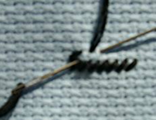 Cusatura de tapiserie: clasa de master de broderie