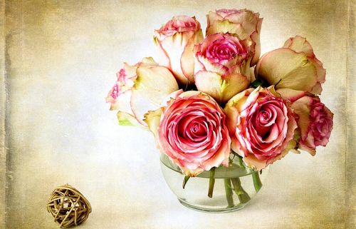Cum sa usuci florile pentru un herbar?