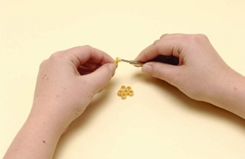 Quilling flori de hârtie pentru începători