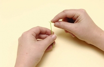 Quilling flori de hârtie pentru începători