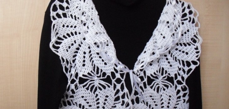 Cum de a lega o vestă de vară pește cu o croșetată. Maestru de clasă pe crocheting o vestă de vară
