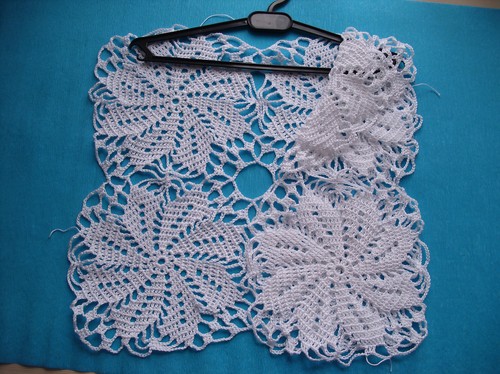Cum de a lega o vestă de vară pește cu o croșetată. Maestru de clasă pe crocheting o vestă de vară