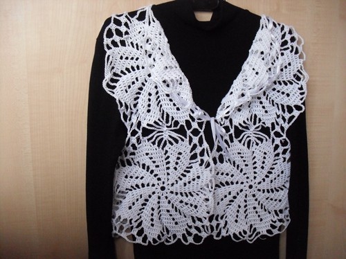 Cum de a lega o vestă de vară pește cu o croșetată. Maestru de clasă pe crocheting o vestă de vară