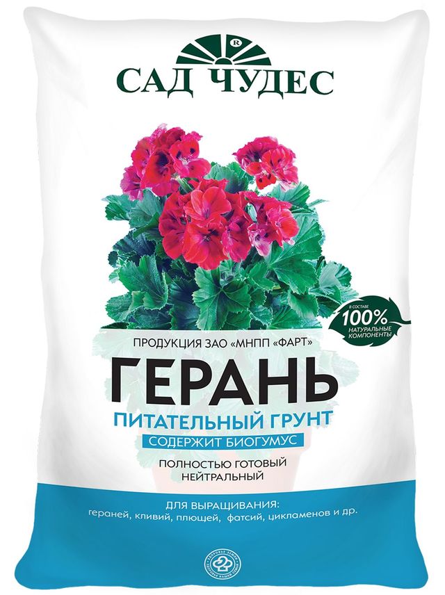 Îngrijire pentru geraniums