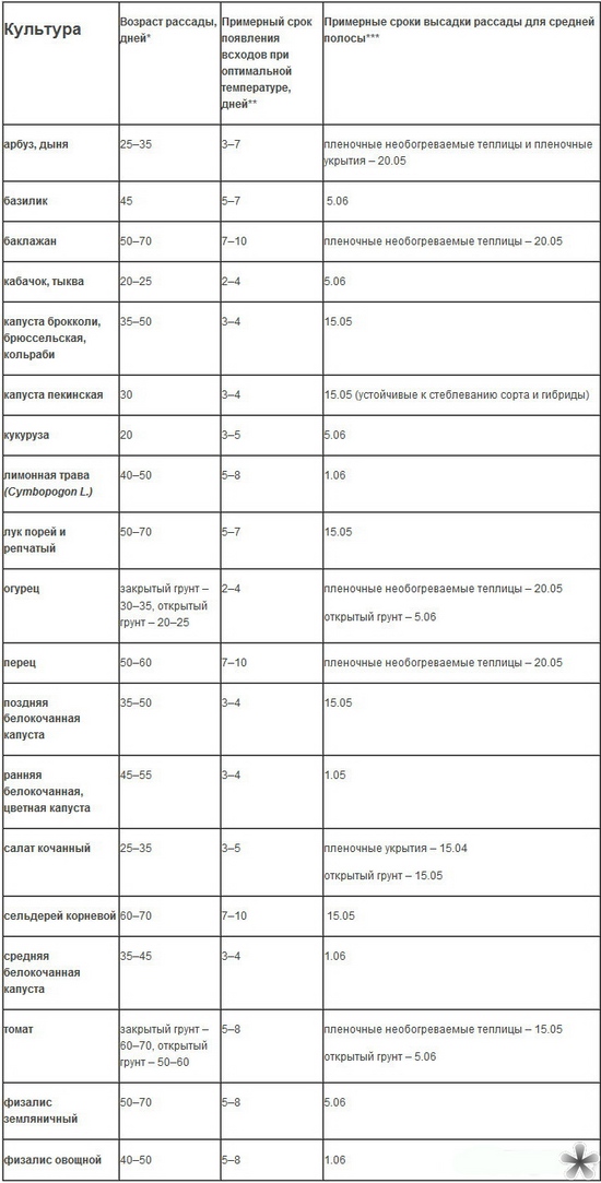 Când să plantezi răsadurile în sol deschis?