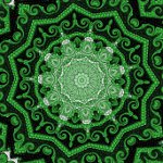 Broderie pentru covoare Broderie pentru covoare