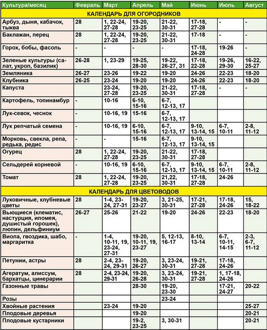 Calendarul calendaristic al grădinarului horticol din august 2015