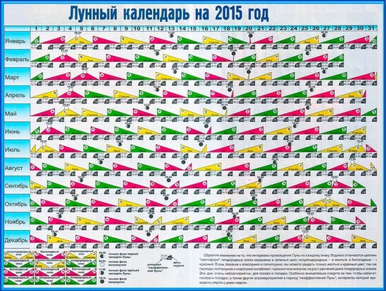 Calendarul calendaristic al grădinarului horticol din august 2015