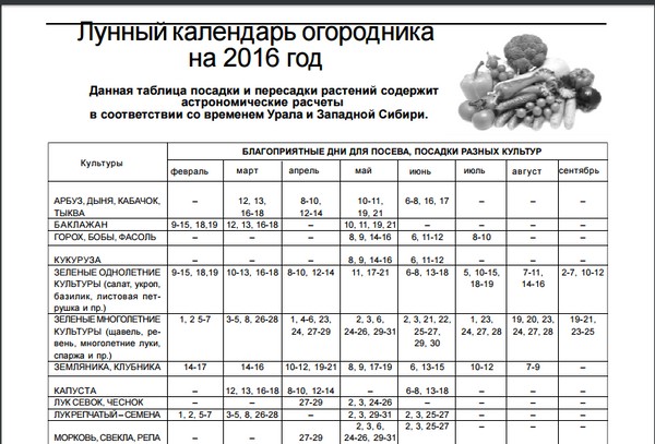 Producătorul de camioane pentru calendarul lunar pentru august 2016 pentru regiunea Moscovei, zona de mijloc a Rusiei, Urali, Siberia, Nord-Vest, Belarus și Ucraina Producătorul de camioane pentru calendarul lunar pentru august 2016 pentru regiunea Moscovei, zona de mijloc a Rusiei, Urali, Siberia, Nord-Vest, Belarus și Ucraina