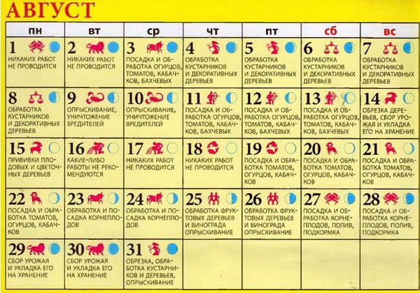 Producătorul de camioane pentru calendarul lunar pentru august 2016 pentru regiunea Moscovei, zona de mijloc a Rusiei, Urali, Siberia, Nord-Vest, Belarus și Ucraina