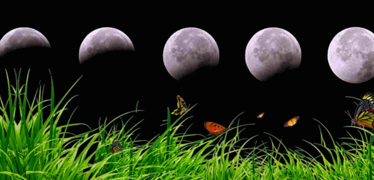 Producătorul de camioane pentru calendarul lunar pentru august 2016 pentru regiunea Moscovei, zona de mijloc a Rusiei, Urali, Siberia, Nord-Vest, Belarus și Ucraina
