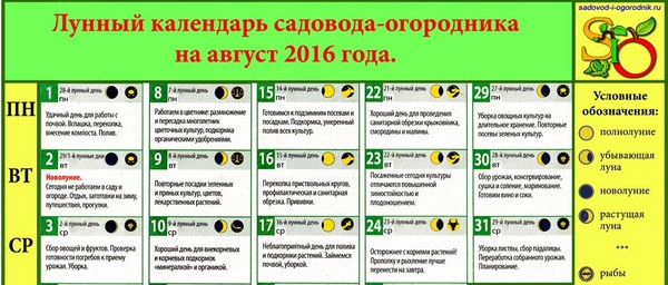 Producătorul de camioane pentru calendarul lunar pentru august 2016 pentru regiunea Moscovei, zona de mijloc a Rusiei, Urali, Siberia, Nord-Vest, Belarus și Ucraina Producătorul de camioane pentru calendarul lunar pentru august 2016 pentru regiunea Moscovei, zona de mijloc a Rusiei, Urali, Siberia, Nord-Vest, Belarus și Ucraina