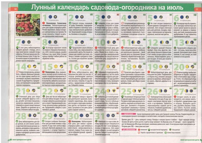Calendarul lunar al grădinarului din Mid-Range 2015
