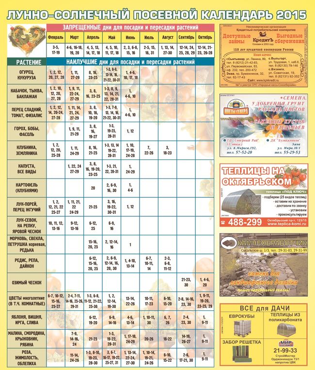 Calendarul grădinarului pentru iulie 2015 pentru nord-vest