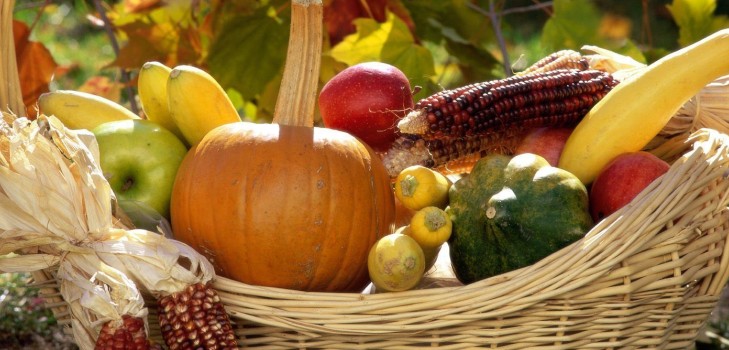 Calendarul lunar al grădinarului horticultor în octombrie 2015