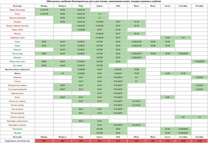 Calendarul lunar al grădinarului horticultor în octombrie 2015