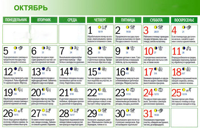 Calendarul lunar al grădinarului horticultor în octombrie 2015