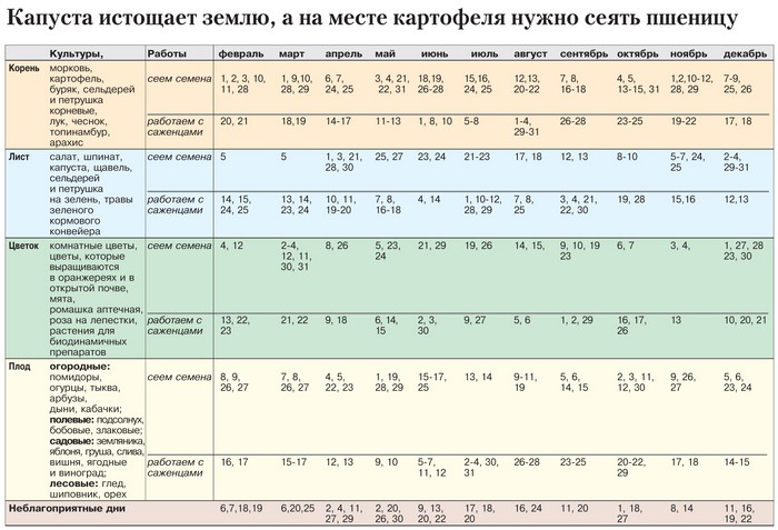 Calendarul lunar al grădinarului horticultor în octombrie 2015