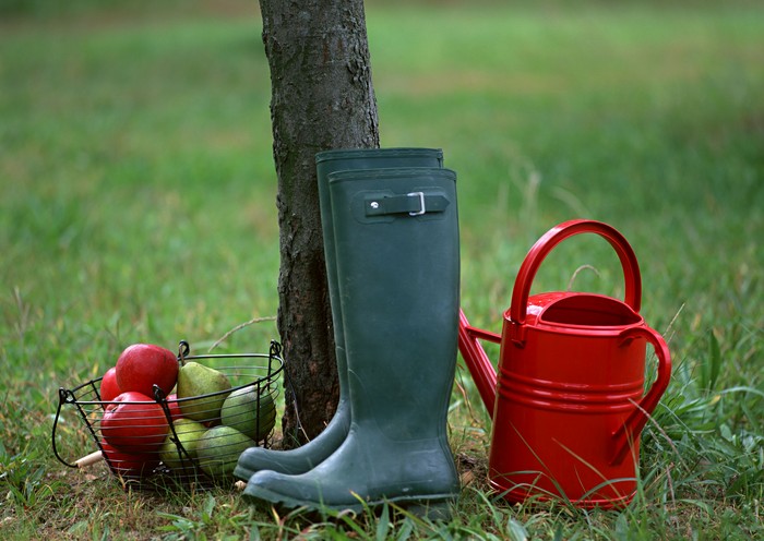Calendarul lunar al grădinarului horticultor în octombrie 2015