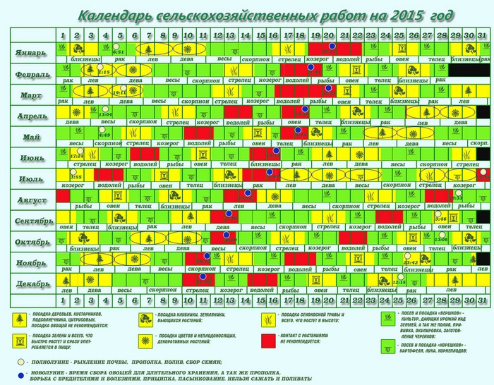 Calendarul lunar al grădinarului în septembrie 2015