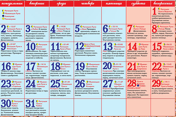 Calendarul însămânțării lunare pentru ianuarie 2017 în tabelul pentru grădinari și fermieri de camioane. Zile favorabile de plantare pentru tomate (tomate) pentru răsaduri lunare-2017