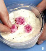 Săpun cu mâinile: floare de Sakura Săpun cu mâinile: floare de Sakura
