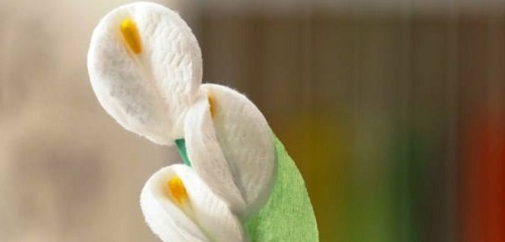 Un cadou pentru florile mamei de la o clasă de master de discuri de bumbac cu o fotografie Flori din vată de bumbac cu propriile mâini