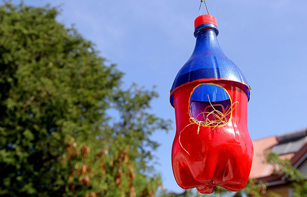Noi meserii din sticle de plastic cu mâinile lor pentru grădină și livadă