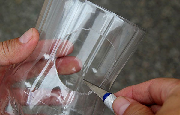 Noi meserii din sticle de plastic cu mâinile lor pentru grădină și livadă