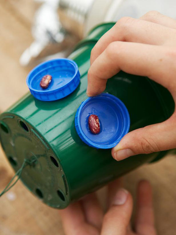 Noi meserii din sticle de plastic cu mâinile lor pentru grădină și livadă