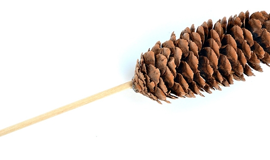 Artizanat din material natural: mini-lemn cu mâinile proprii