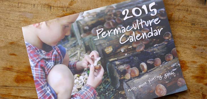 Calendarul însămânțării 2015: planificăm să lucrăm din ianuarie până în decembrie